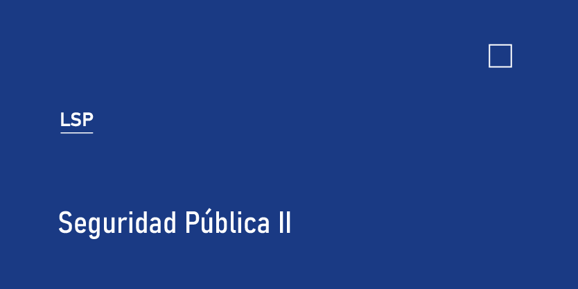 Seguridad Pública II