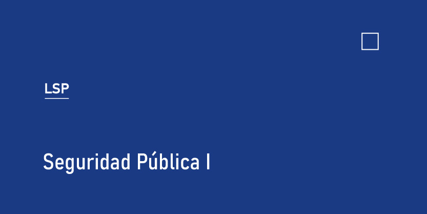Seguridad Pública I